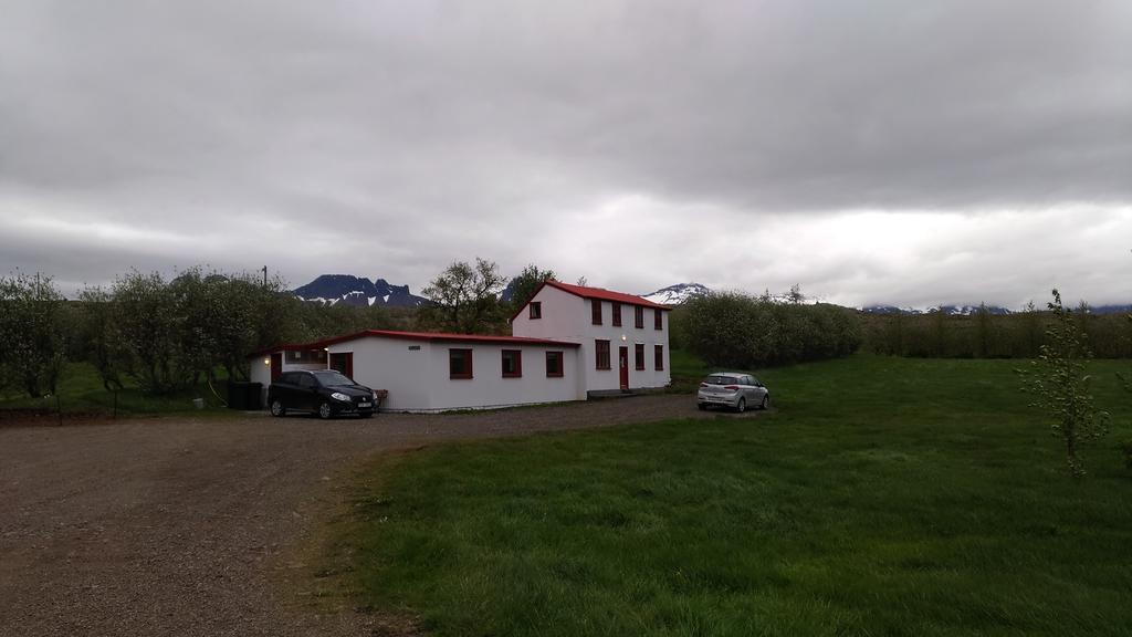 Fossardalur Guesthouse Djúpivogur Eksteriør billede