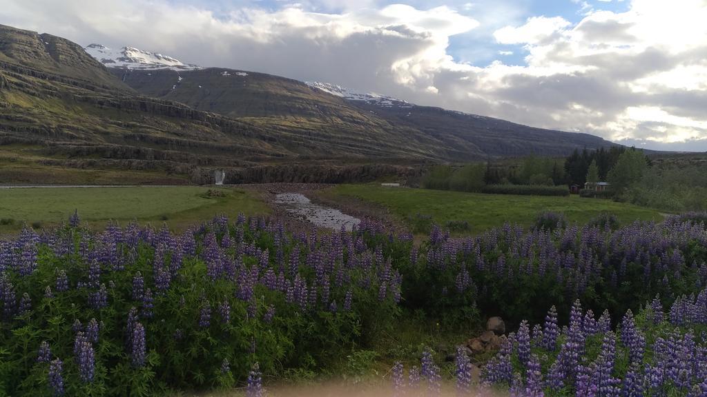 Fossardalur Guesthouse Djúpivogur Eksteriør billede